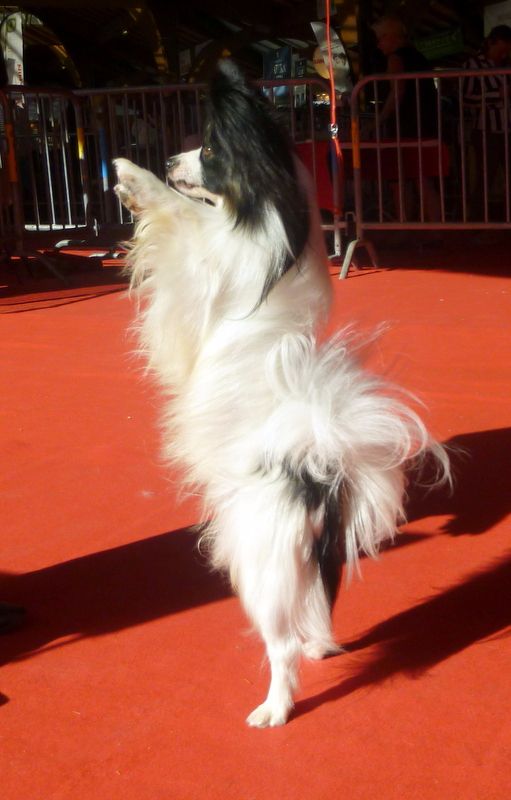 Lloyd des terres du cossier - Classe Ouverte 2ème EXC RCACS