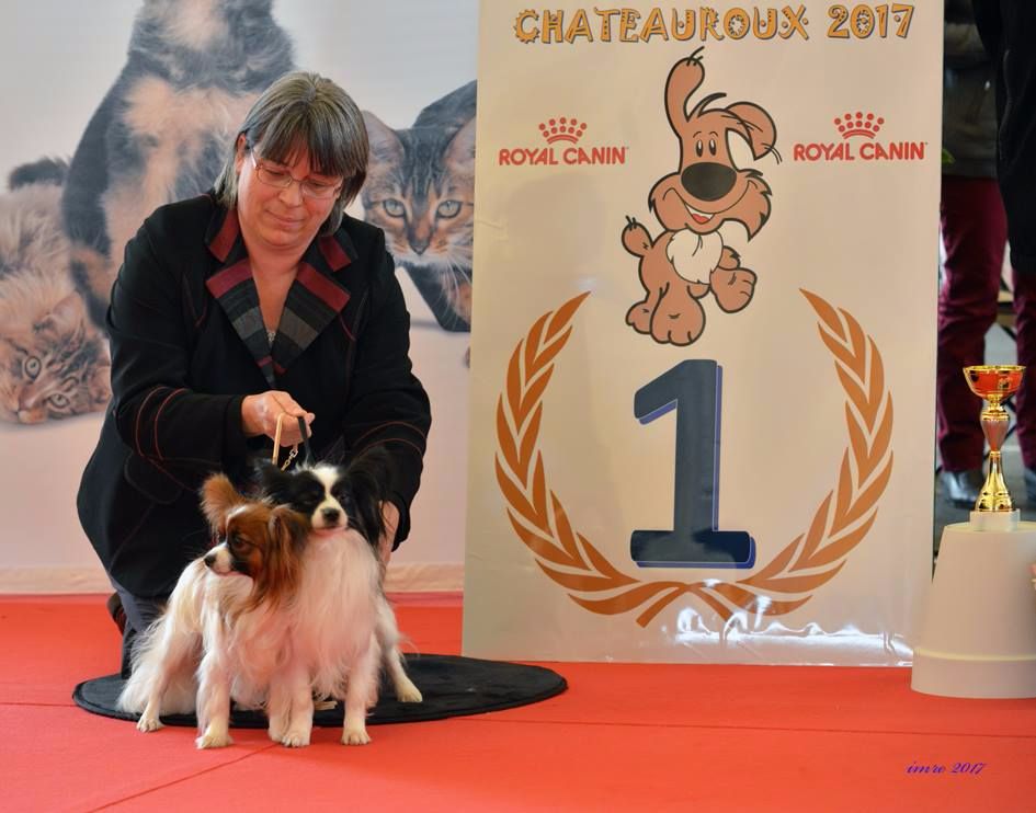 Lloyd des terres du cossier - Classe Ouverte 2ème EXC BIS Couple