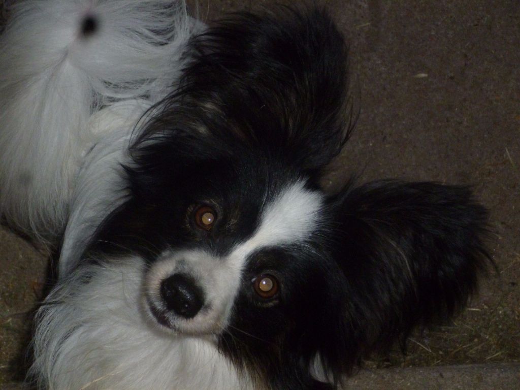 Lloyd des terres du cossier - Classe Ouverte 2ème EXC RCACS