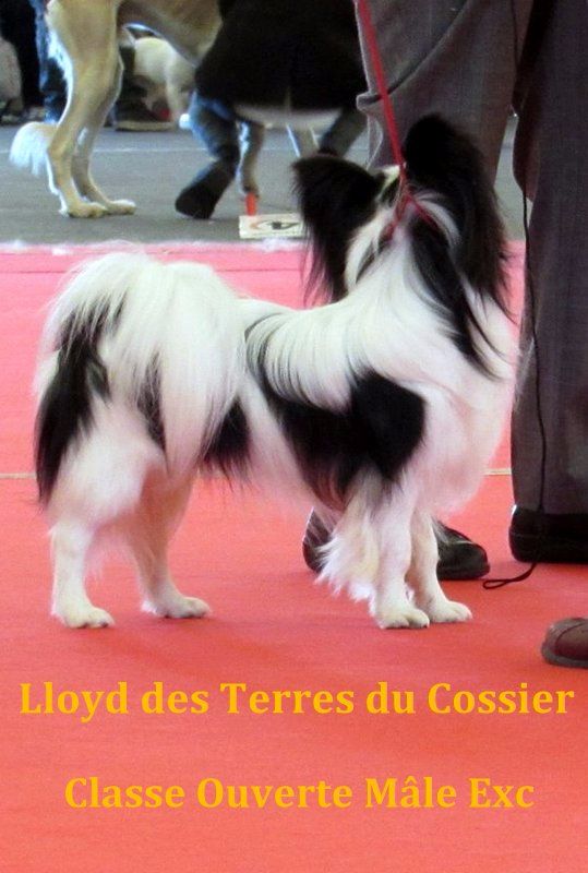 Lloyd des terres du cossier - Classe Ouverte 2ème EXC