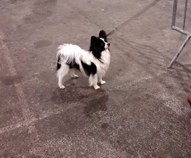 Lloyd des terres du cossier - Classe Ouverte 4ème EXC