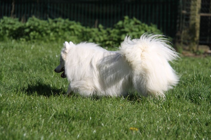 Publication : Des jardins de margaux Auteur : JARDINS DE MARGAUX