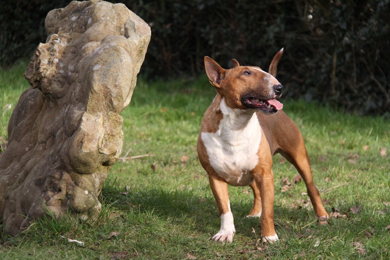 Publication : Des jardins de margaux Auteur : LE PAIH Nathalie