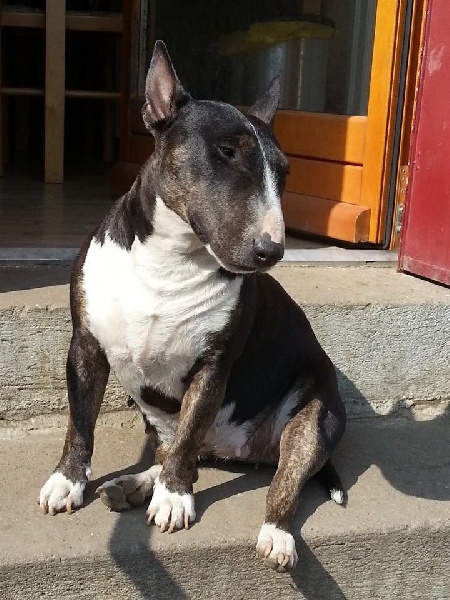 Publication : of White and White Auteur : MM