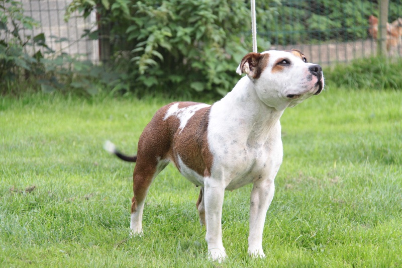 Publication : Des jardins de margaux Auteur : Jardins De Margaux