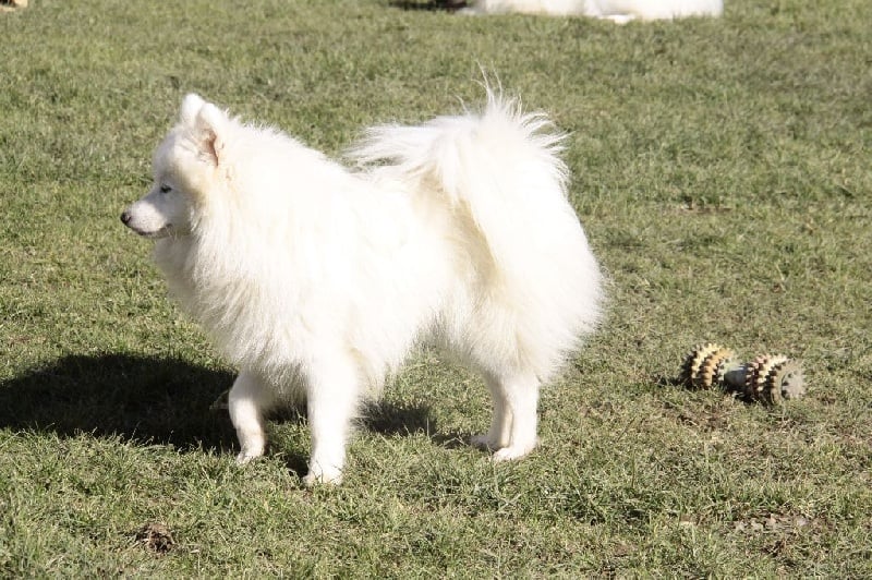 Publication : Des jardins de margaux Auteur : JARDINS DE MARGAUX