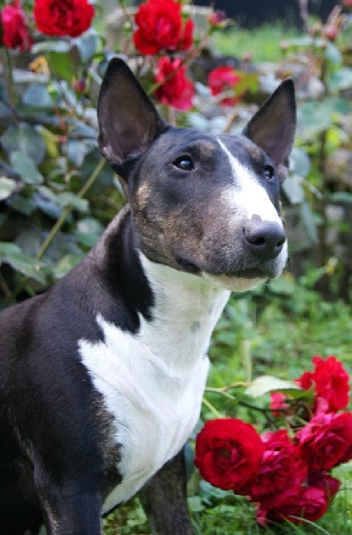 Publication : of White and White Auteur : MM