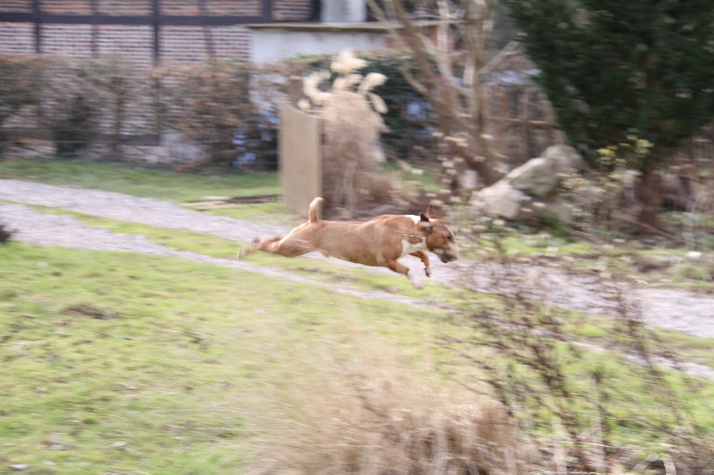 Publication : Des jardins de margaux Auteur : LE PAIH Nathalie