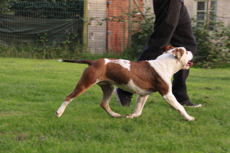 Publication : Des jardins de margaux Auteur : Jardins De Margaux