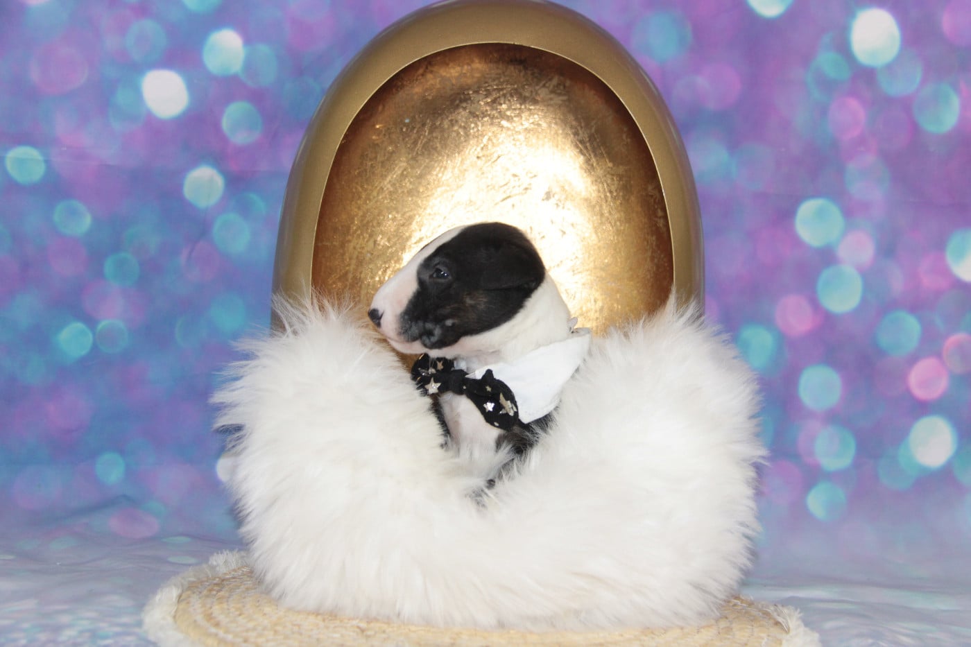 ABZAC DES JARDINS DE MARGAUX