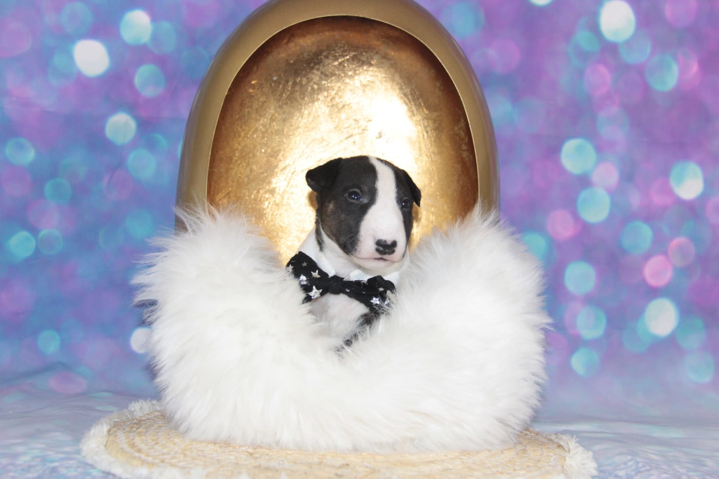 ABZAC DES JARDINS DE MARGAUX