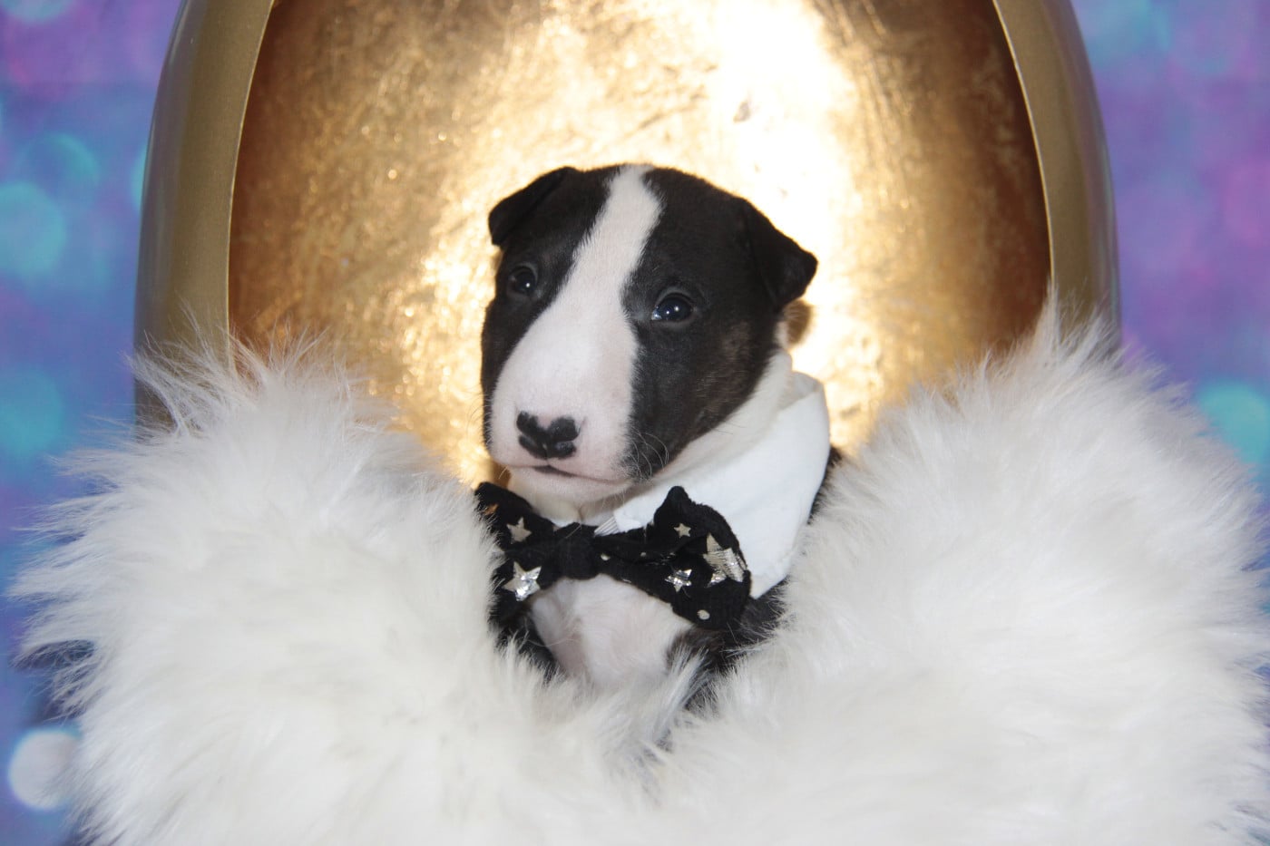 ABZAC DES JARDINS DE MARGAUX