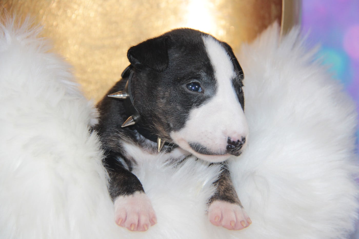 AYME DES JARDINS DE MARGAUX