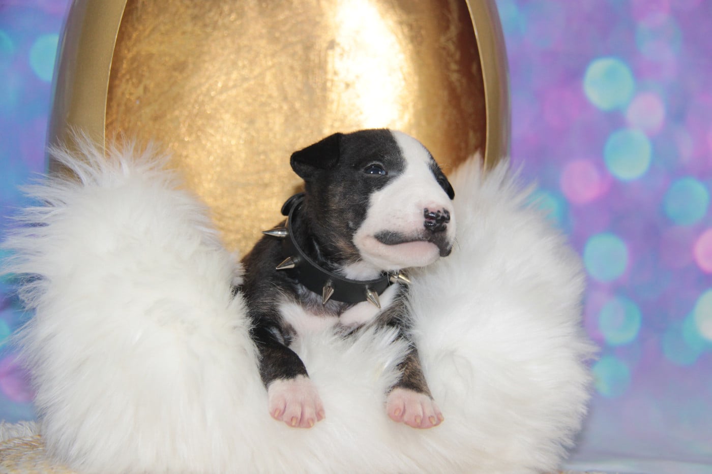 AYME DES JARDINS DE MARGAUX