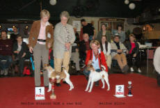 Publication : Belfox Auteur : claude Percheron