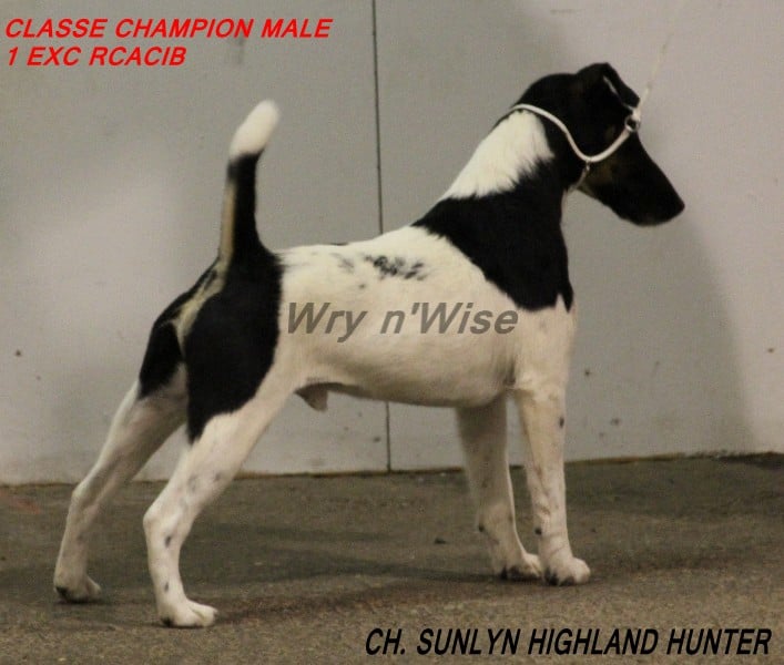 Publication : Wry n'Wise Auteur : VENARD