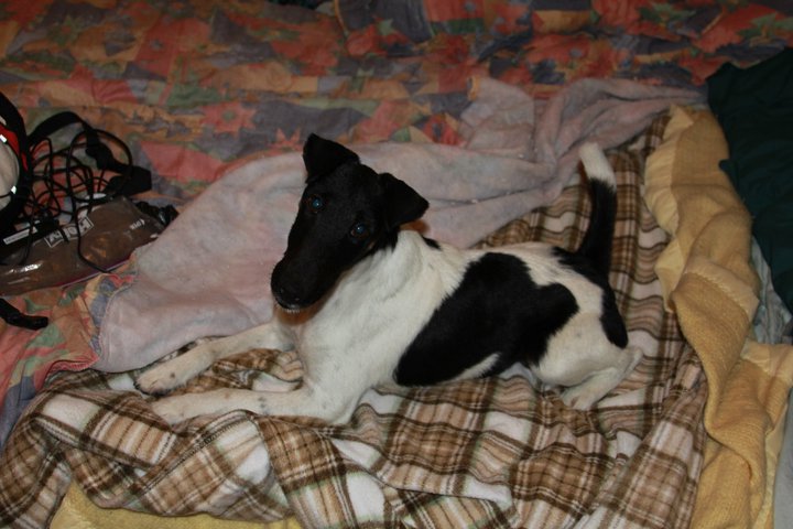 Publication : Wry n'Wise Auteur : VENARD