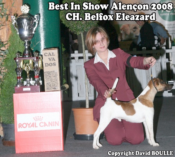 Publication : Belfox Auteur : claude Percheron