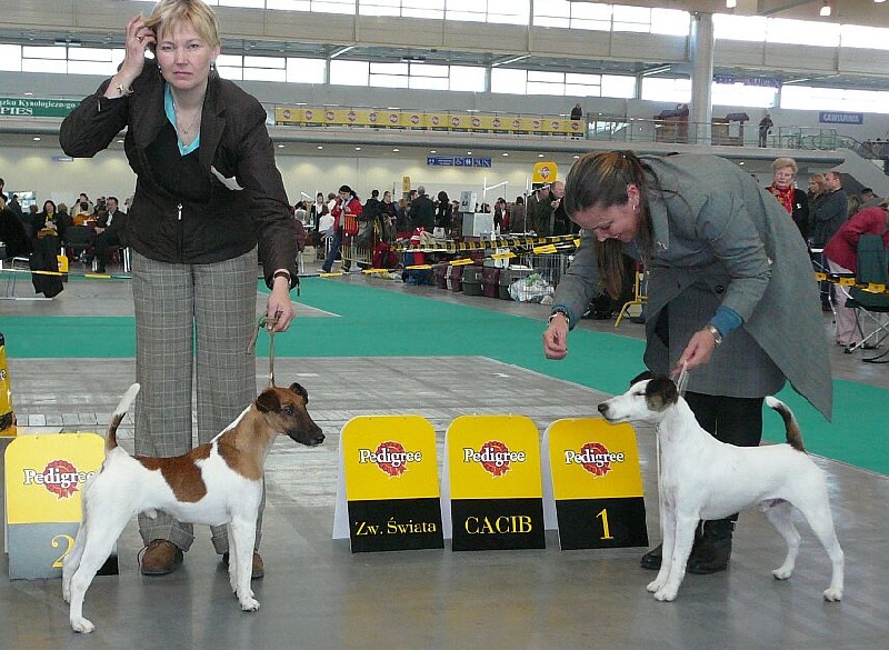 Publication : Belfox Auteur : claude Percheron