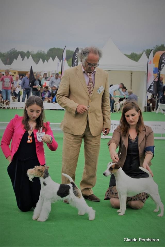 CH. Wry n'Wise Magnolia forever dite molly - CACS BOB