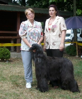 CH. patty blue De koulangar - 1ere exc CAC (R)CACIB