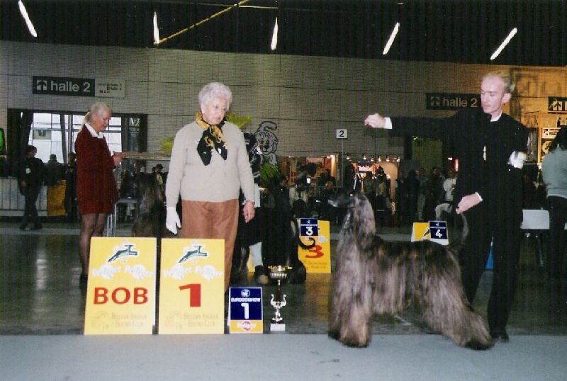 CH. patty blue De koulangar - 1ere exc CAC CACIB BOB BIG3