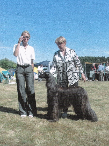 CH. patty blue De koulangar - 1ere exc CAC VDH BOS