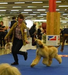 CH. Noblesse oblige De koulangar - 1ERE EXCELLENTE