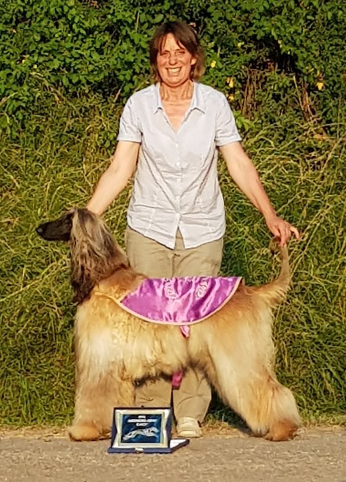 CH. Noblesse oblige De koulangar - 1 ERE EXC. CACP