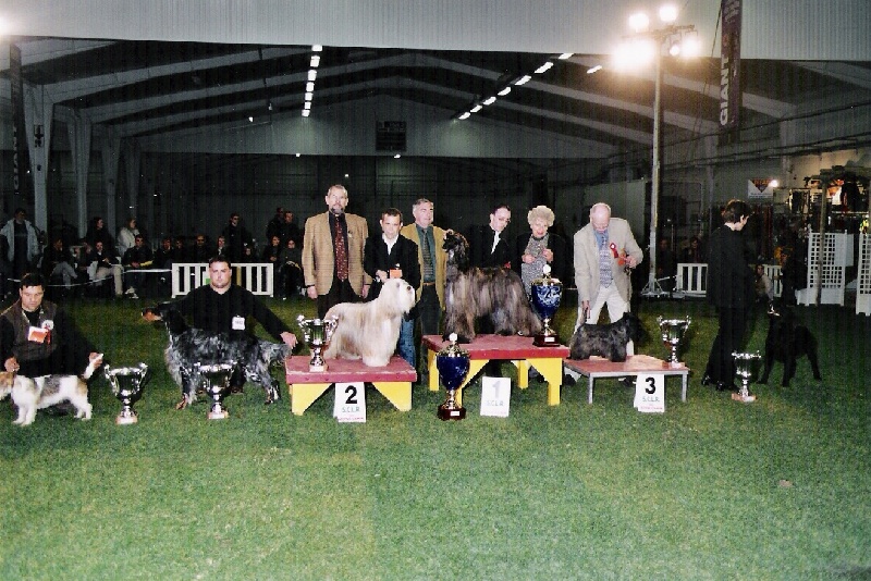 CH. patty blue De koulangar - 1ere exc CACS CACIB BOB BOG BIS