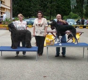 CH. patty blue De koulangar - 1ere exc CAC BOB BIG2