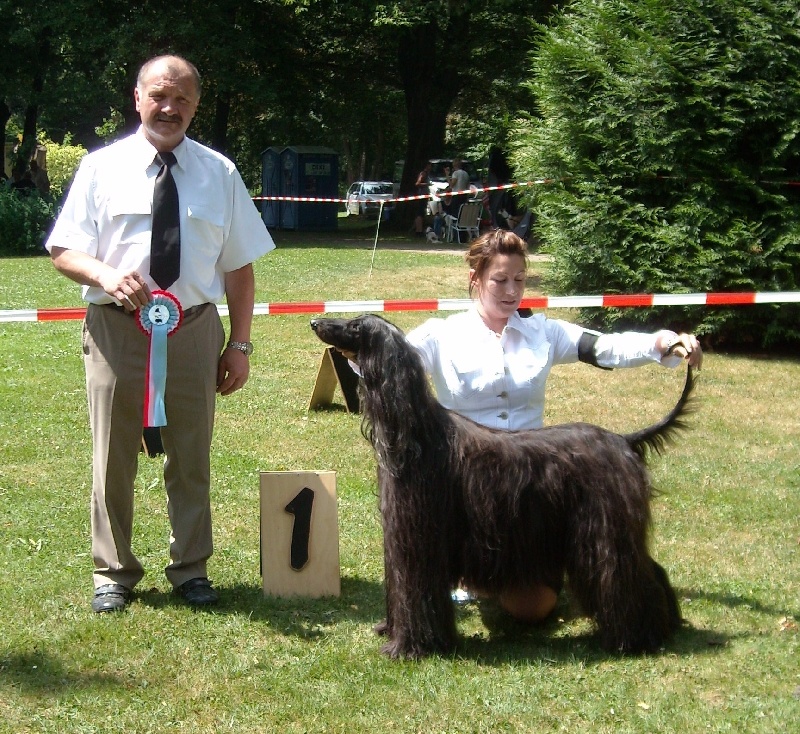 CH. patty blue De koulangar - 1 ER EXC CACL