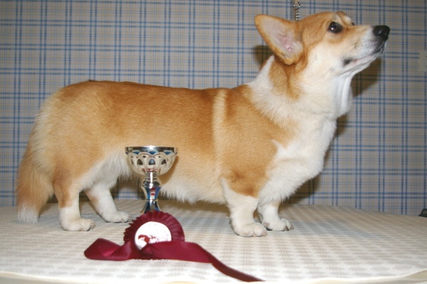 Eve First Lady des salines de Goupil - 1ère très prometteur