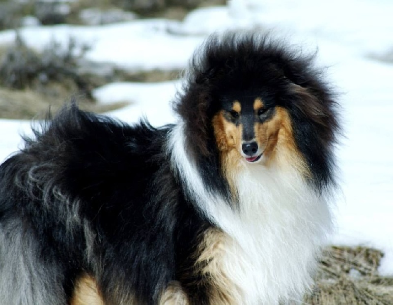 Publication : du domaine des Emeraudes Auteur : cyril