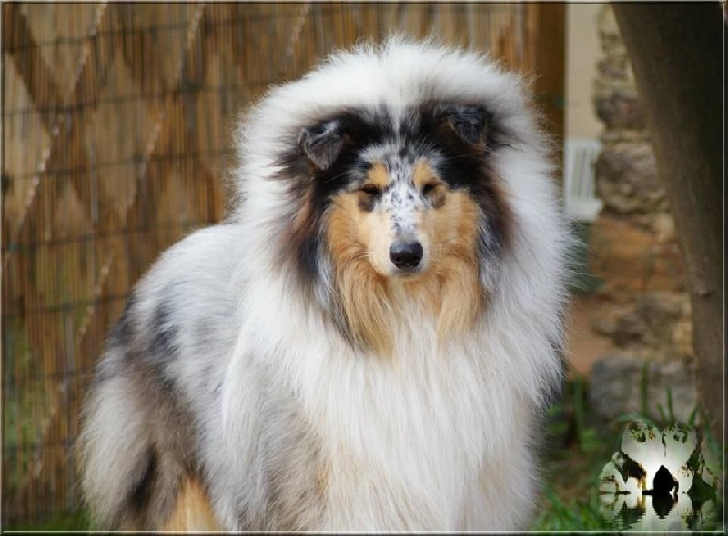 Publication : du domaine des Emeraudes Auteur : cyril