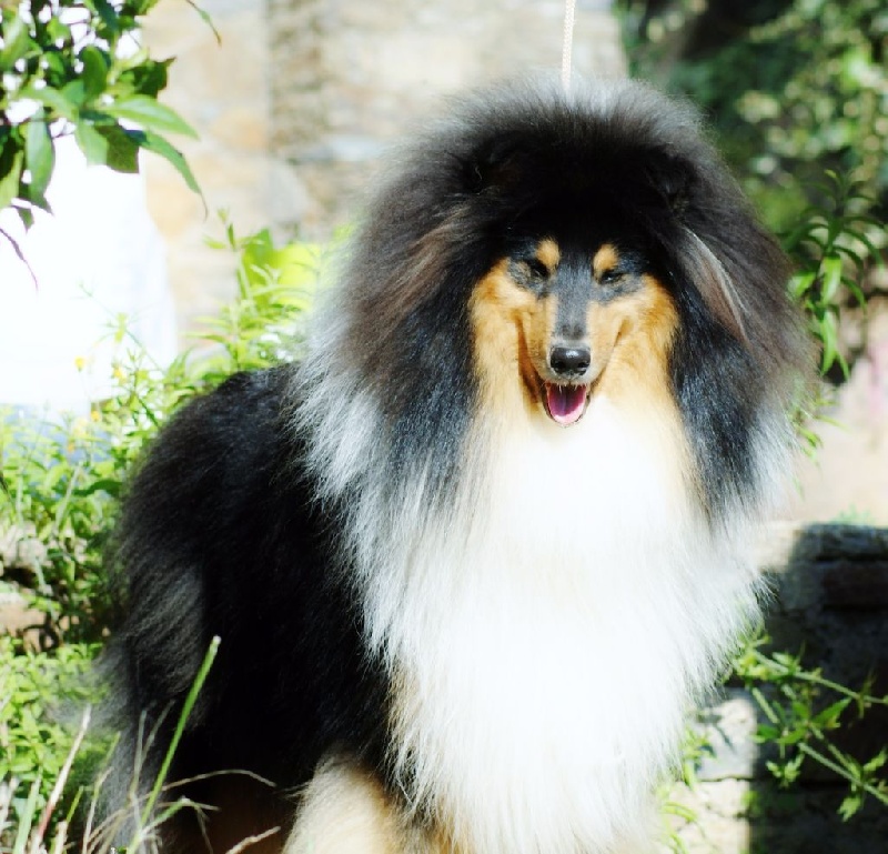 Publication : du domaine des Emeraudes Auteur : cyril