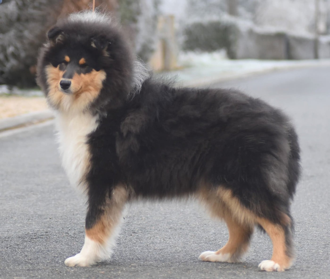 Avant garde du domaine des Emeraudes