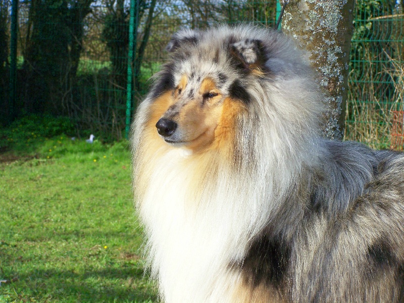 Publication : du domaine des Emeraudes Auteur : cyril