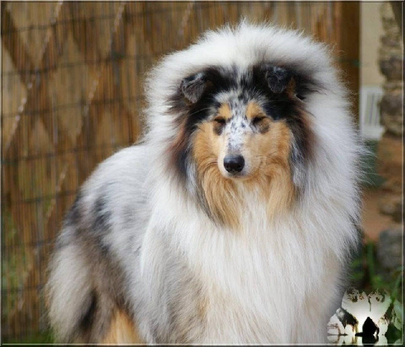 Publication : du domaine des Emeraudes Auteur : cyril