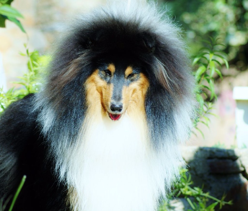 Publication : du domaine des Emeraudes Auteur : cyril