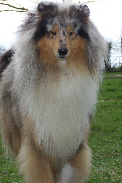 Publication : du domaine des Emeraudes Auteur : cyril