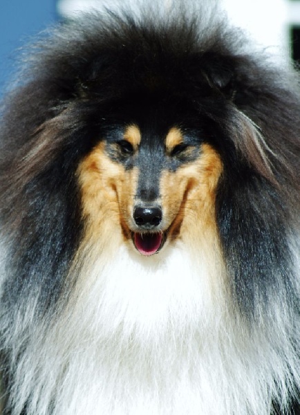 Publication : du domaine des Emeraudes Auteur : cyril