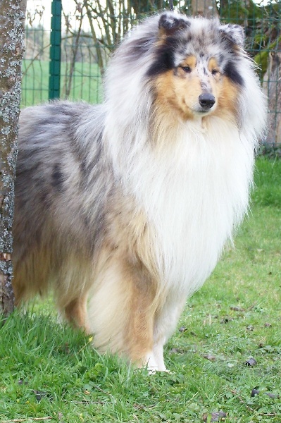 Publication : du domaine des Emeraudes Auteur : cyril