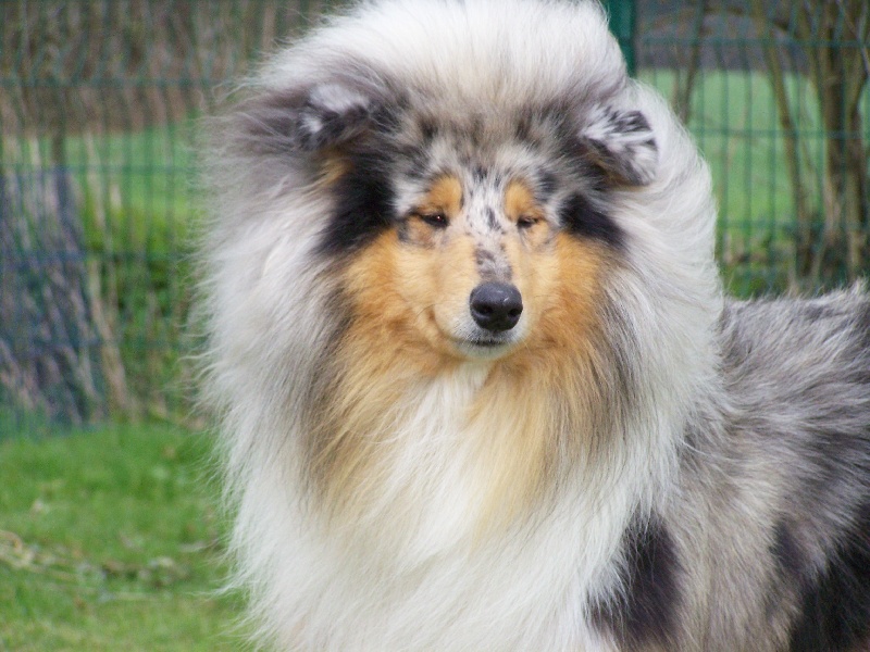 Publication : du domaine des Emeraudes Auteur : cyril