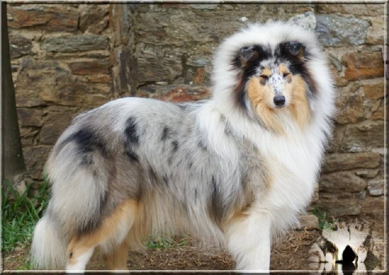 Publication : du domaine des Emeraudes Auteur : cyril