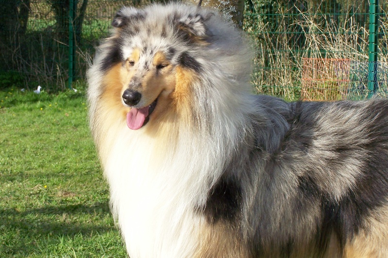 Publication : du domaine des Emeraudes Auteur : cyril