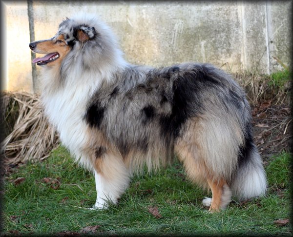 Publication : du domaine des Emeraudes Auteur : cyril