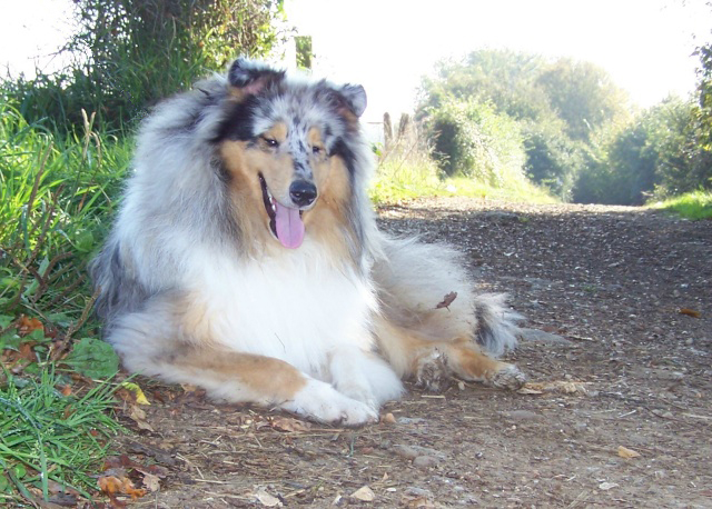 Publication : du domaine des Emeraudes Auteur : cyril