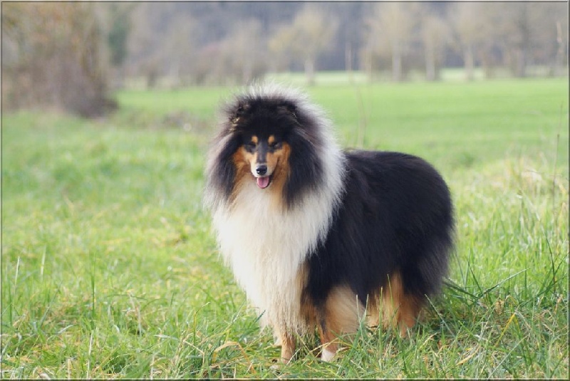 Publication : du domaine des Emeraudes Auteur : cyril