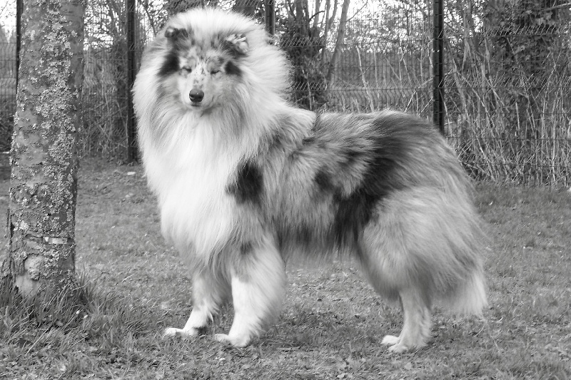 Publication : du domaine des Emeraudes Auteur : cyril